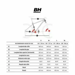 BH Bikes Bicicletta MTB BH Lynx Race 6.0 Verde-grigio 13 BH Bikes Bicicletta MTB BH Lynx Race 6.0 Verde-grigio -Vendite Biciclette MTB bh mtb lynx5 st v1