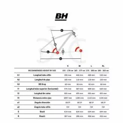 BH Bikes Bicicletta MTB BH Spike 2.0 29" Grigio -Vendite Biciclette MTB bh mtb spike2.0 st v1 4