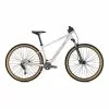 Bicicletta MTB Focus Whistler 3.8 Grigio -Vendite Biciclette MTB fcd d644019310 c 001